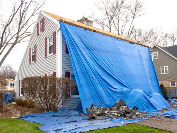 Best Siding Painting and Refinishing  in Marshall, VA