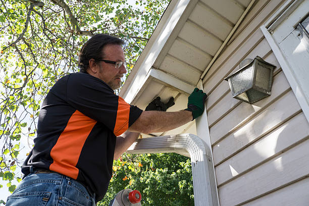 Best Siding for New Construction  in Marshall, VA
